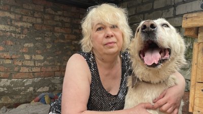 Алабай Бахар, якого врятували волонтери з Полтавщини, віднайшов свого господаря – воїна ЗСУ