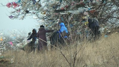 У Миколаєві розпочали прибирати рознесене штормовим вітром сміття