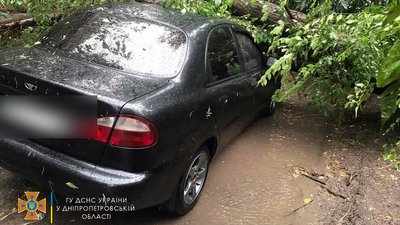 Повалені дерева та розтрощені автівки: наслідки негоди на Дніпропетровщині Повалені дерева та розтрощені автівки: наслідки негоди на Дніпропетровщині