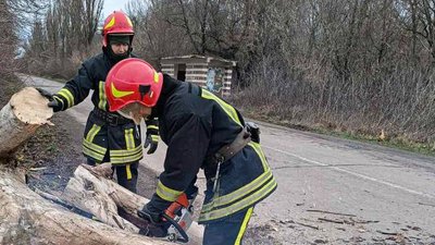 За добу черкаські рятувальники 5 разів виїжджали прибирати повалені дерева За добу черкаські рятувальники 5 разів виїжджали прибирати повалені дерева