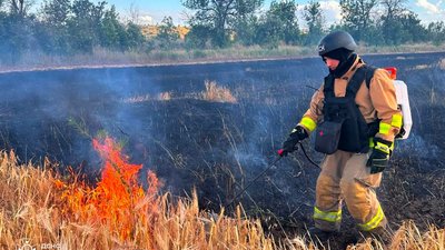 Поранені через обстріли, крокодил не пережив вибухів, тендер на кладовища. Головні новини Дніпра та області 5 липня Поранені через обстріли, крокодил не пережив вибухів, тендер на кладовища. Головні новини Дніпра та області 5 липня
