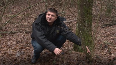 У лісах Черкащини екоінспектори шукають браконьєрські вежі У лісах Черкащини екоінспектори шукають браконьєрські вежі
