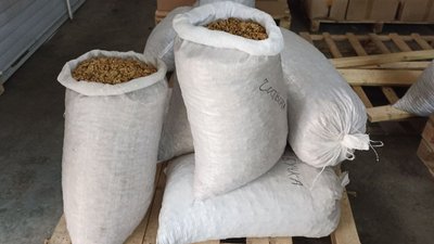 Горіх волоський закупка Горіх волоський закупка