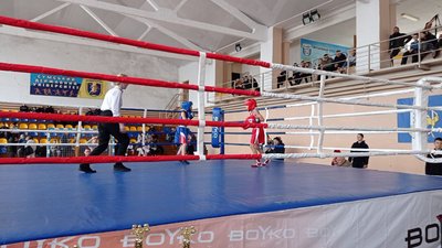 "Трудитися і стати кращим боксером": у Сумах відбувся обласний чемпіонат із боксу