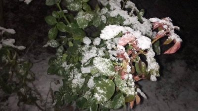 Сумщину засипало снігом. Фото читачів Суспільного Суми