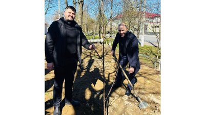 На Івано-Франківщині посадили шість "Садів перемоги": що відомо На Івано-Франківщині посадили шість "Садів перемоги": що відомо