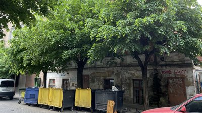 Грецькі боги та купідони. Історії чернівецьких будинків із скульптурами та барельєфами