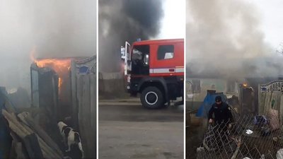 На Рівненщині загорілось господарство, де жінка тримає десятки собак і котів