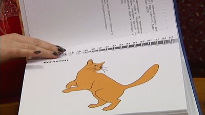 Передрукувала підліткове фентезі для дітей з вадами зору. Олеся Перепеченко. СУСПІЛЬНЕ | ЛЮДИ Передрукувала підліткове фентезі для дітей з вадами зору. Олеся Перепеченко. СУСПІЛЬНЕ | ЛЮДИ