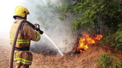 На Херсонщині загасили 27 пожеж: горіли сухостій та пожнивні залишки