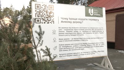 У лісництвах розпочалися ялинкові ярмарки У лісництвах розпочалися ялинкові ярмарки