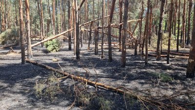 На Миколаївщині за добу сталися десять пожеж, три з них — через обстріли російськими військами