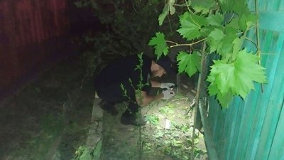У подвір’ї миколаївської багатоповерхівки стався вибух. Травмованих немає