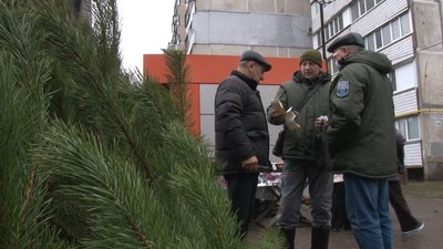Виявили двох порушників: у Черкасах екоінспектори перевіряли пункти продажу ялинок