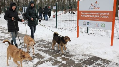 У Львові облаштували тренувальний майданчик для собак