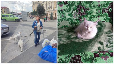 Волонтери допомогли переселитись з прифронтового Бахмута жінці з інвалідністю, яка має 5 домашніх улюбленців