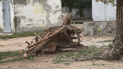 Внутрішньоквартальний проїзд до миколаївського будинку. Хто відповідає за благоустрій Внутрішньоквартальний проїзд до миколаївського будинку. Хто відповідає за благоустрій