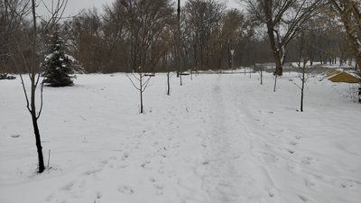 сквер імені Вахтанга Кікабідзе