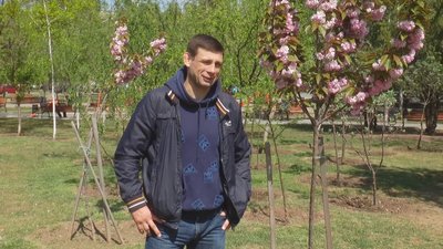 У Миколаєві квітнуть сакури У Миколаєві квітнуть сакури