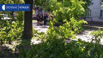 У середмісті Черкас дерево впало на три автівки У середмісті Черкас дерево впало на три автівки