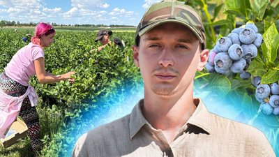 "Плануємо зібрати 10 тонн": як на Миколаївщині вирощують лохину
