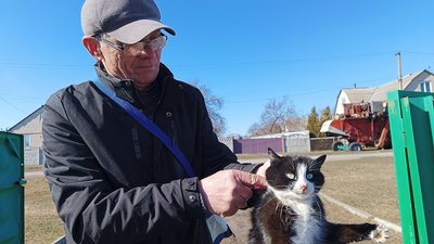 сказ, вакцнація, кіт, ветеринар