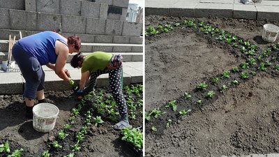 У Кропивницькому на площі Героїв Майдану розквітне "вишиванка"
