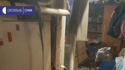 У Сумах в квартирі жінка тримала 15 собак У Сумах в квартирі жінка тримала 15 собак
