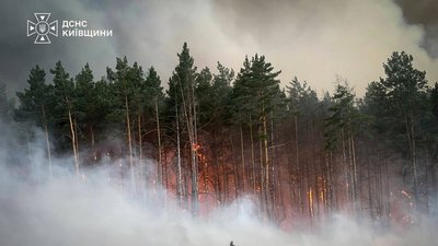 Лісова пожежа