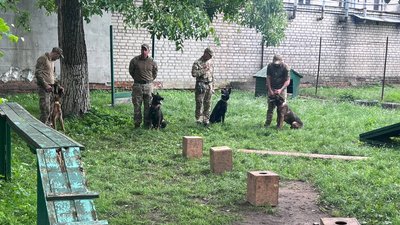 Службові вівчарки поліції Службові вівчарки поліції