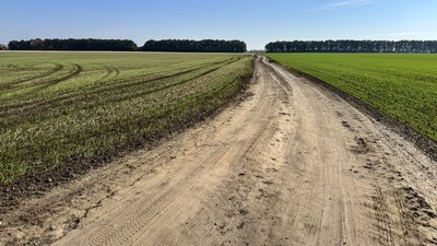 На Полтавщині завершують сіяти озимі культури На Полтавщині завершують сіяти озимі культури