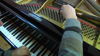 Професія настроювача струнно-клавішних музичних інструментів у Житомирі вимирає Професія настроювача струнно-клавішних музичних інструментів у Житомирі вимирає