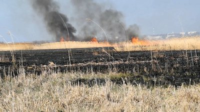 Майже двісті пожеж на відкритих територіях загасили рятувальники Миколаївщини від початку 2021 року