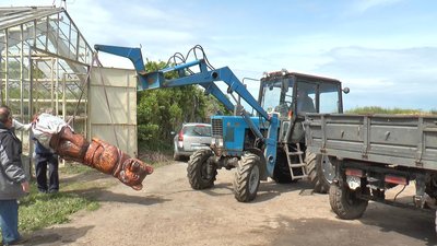 У Полтаві встановлять скульптуру ведмедя-пасічника