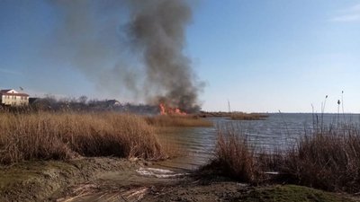 На Херсонщині горів очерет
