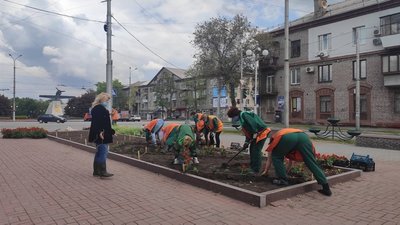 Висадка квітів