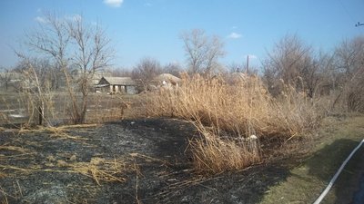 Жительку Харківщини оштрафували за спалювання трави