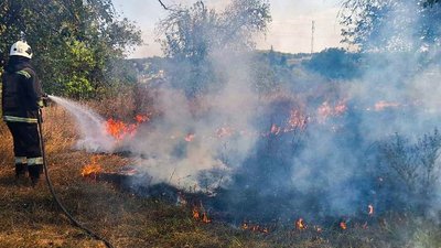 На Черкащині за дві доби сталося 14 пожеж сміття, сухої трави та очерету На Черкащині за дві доби сталося 14 пожеж сміття, сухої трави та очерету