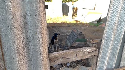 Лишились менше половини людей. Життя у селищі Новодмитрівка на Донеччині: репортаж