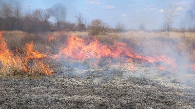 Пожежа на Полтавщині: від опіків чоловік помер у лікарні