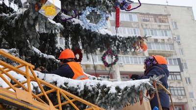 У Сумах прикрашають живі ялинки іграшками, що зробили містяни У Сумах прикрашають живі ялинки іграшками, що зробили містяни