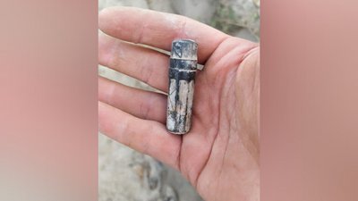 На Житомирщині знашли останки трьох солдатів Червоної армії На Житомирщині знашли останки трьох солдатів Червоної армії