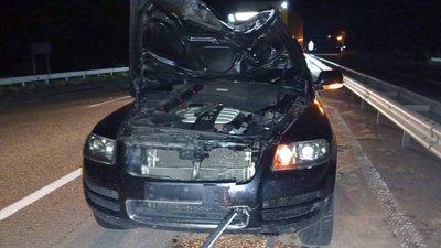 ДТП, смерть, Житомир, Звягельський район, поліція