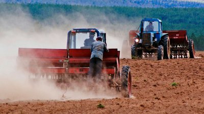 Посівна кампанія на Одещині: аграріям не вистачає палива та насіння