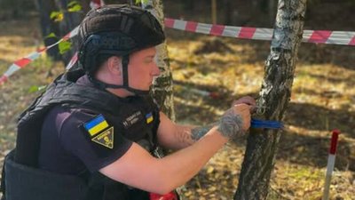 Граната на дереві