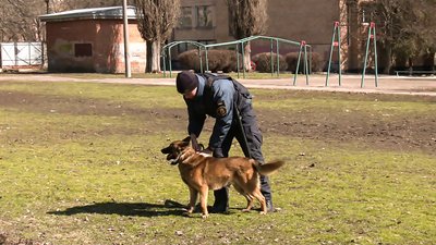 ”Ми – команда”,– кропивницький нацгвардієць – про службового собаку ”Ми – команда”,– кропивницький нацгвардієць – про службового собаку