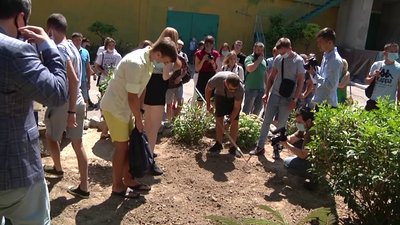 Марафон Відповідальності: на території херсонського вишу висадили соняхи сорту "Богдан Гаврилишин" Марафон Відповідальності: на території херсонського вишу висадили соняхи сорту "Богдан Гаврилишин"