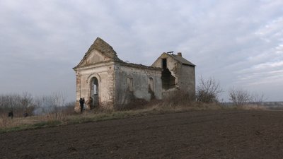 Толока в Симонові