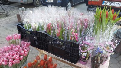 квіти квіти