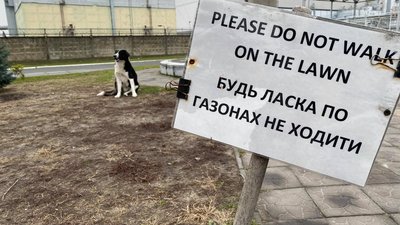 Тернополяни побували в зоні відчуження